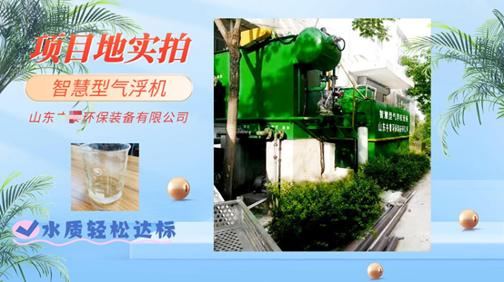 大蝦養殖尾水咋處理？想賺錢的蝦農都用氣浮機，1招就能變廢為寶（3）